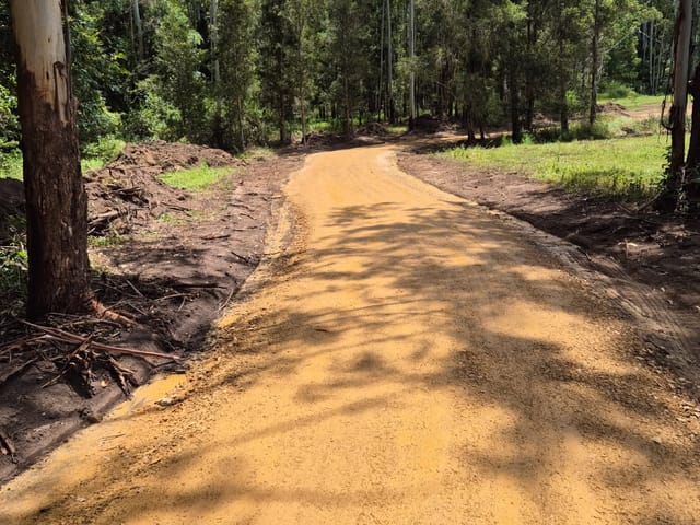 Newly graded gravel access track winding through eucalypt forest, with freshly cleared verges on both sides