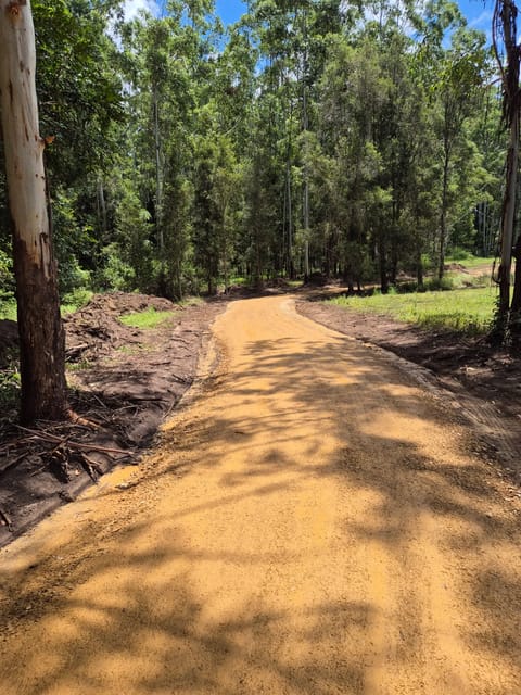 Newly graded gravel access track winding through eucalypt forest, with freshly cleared verges on both sides